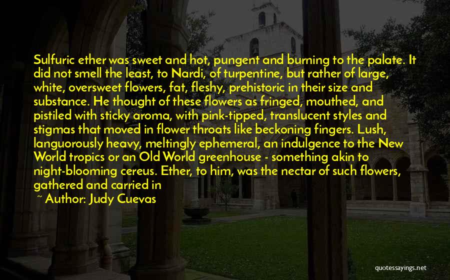Flower Nectar Quotes By Judy Cuevas