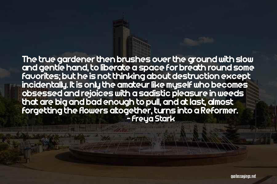 Flower Obsessed Quotes By Freya Stark Flower Obsessed Quotes By Freya Stark