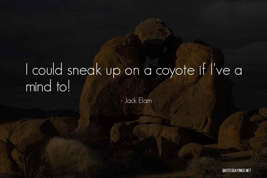 Flower Of Eternal Consciousness Quotes By Jack Elam Flower Of Eternal Consciousness Quotes By Jack Elam