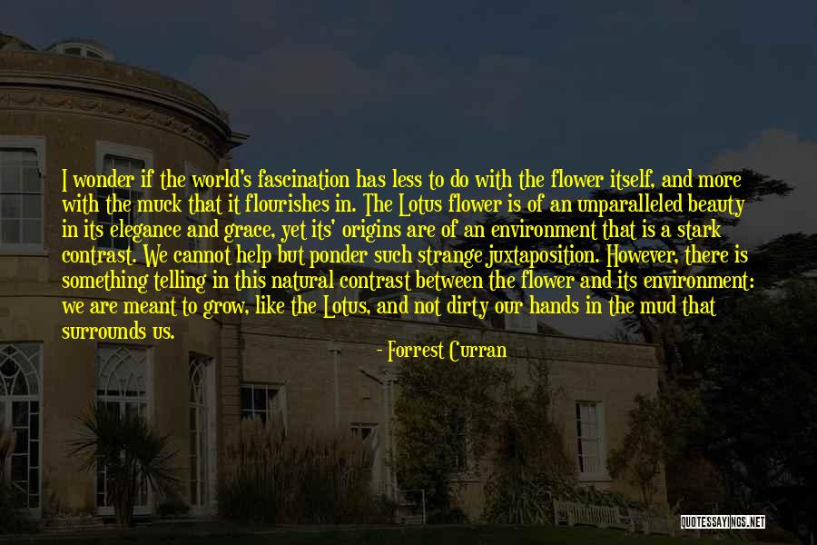 Flower Of Peace Quotes By Forrest Curran Flower Of Peace Quotes By Forrest Curran