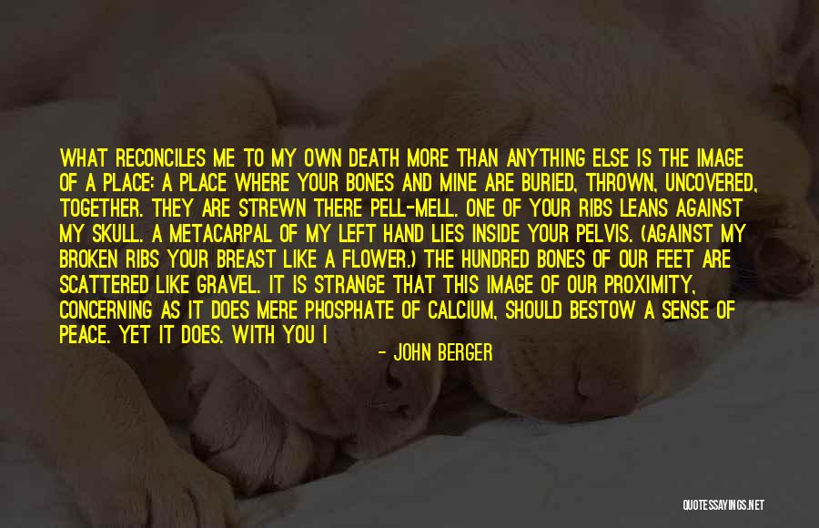 Flower Of Peace Quotes By John Berger Flower Of Peace Quotes By John Berger