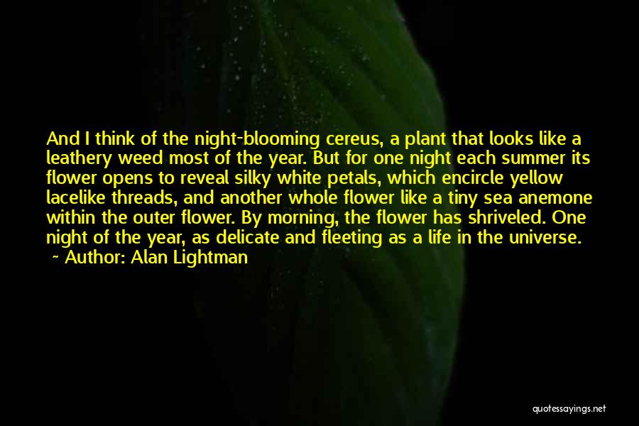 Flower Petals Quotes By Alan Lightman