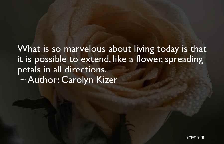 Flower Petals Quotes By Carolyn Kizer