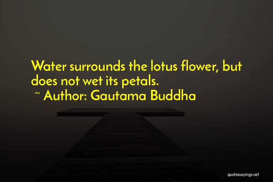 Flower Petals Quotes By Gautama Buddha