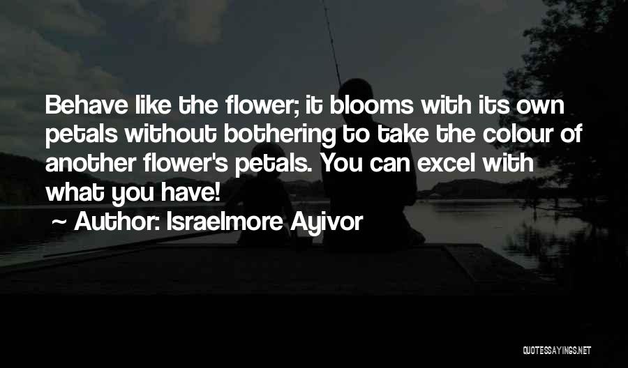 Flower Petals Quotes By Israelmore Ayivor