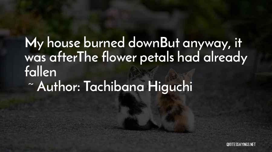 Flower Petals Quotes By Tachibana Higuchi