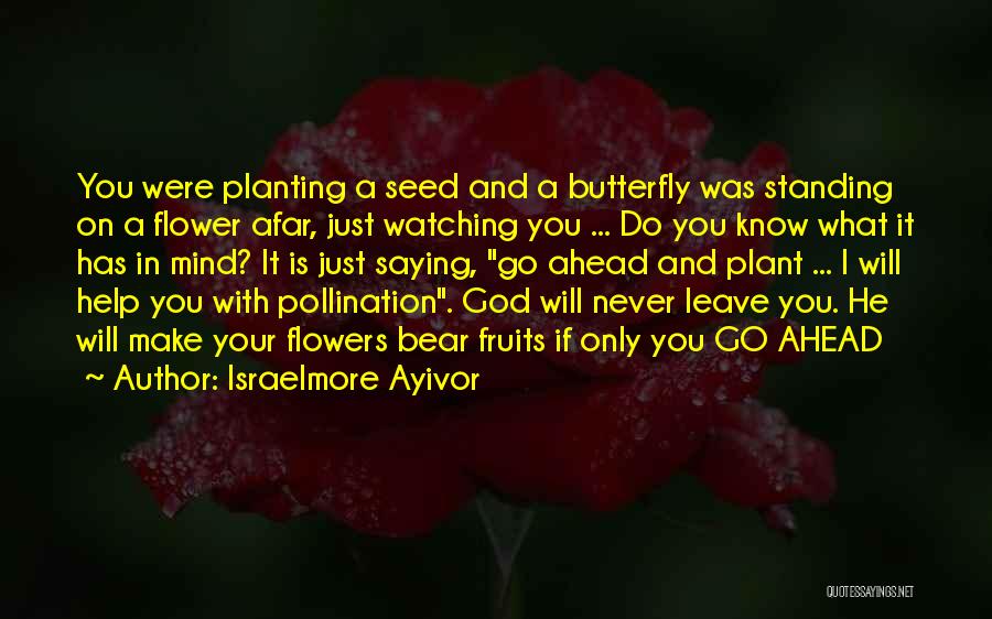 Flower Planting Quotes By Israelmore Ayivor