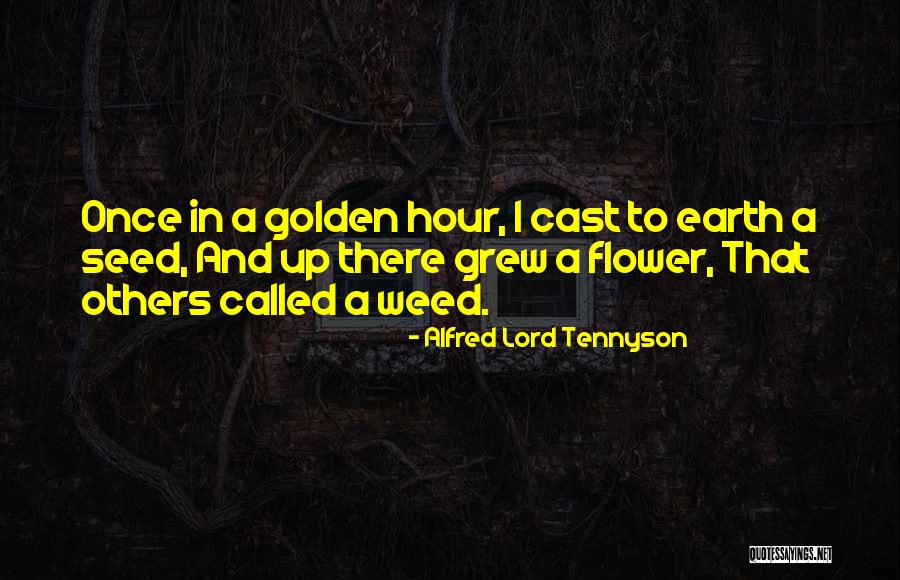 Flower Seed Quotes By Alfred Lord Tennyson Flower Seed Quotes By Alfred Lord Tennyson