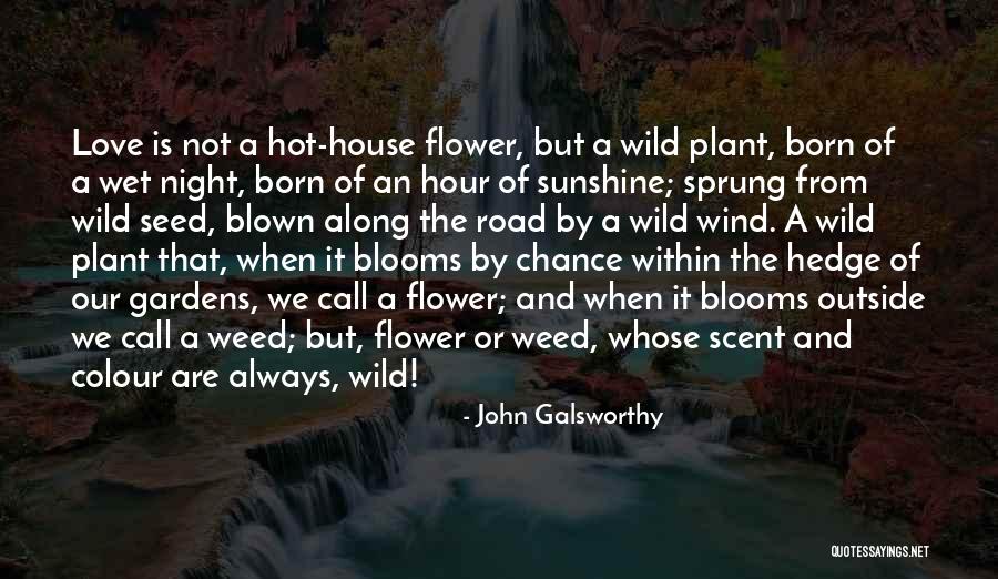 Flower Seed Quotes By John Galsworthy Flower Seed Quotes By John Galsworthy