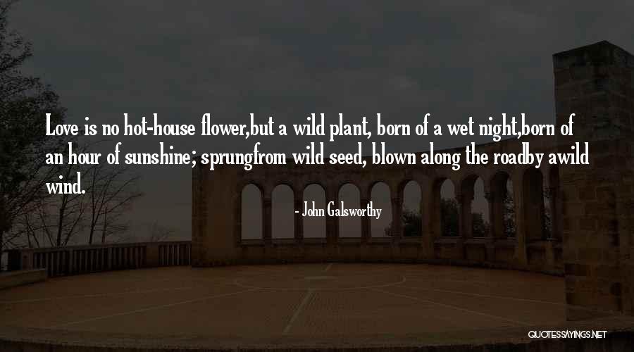 Flower Seed Quotes By John Galsworthy Flower Seed Quotes By John Galsworthy