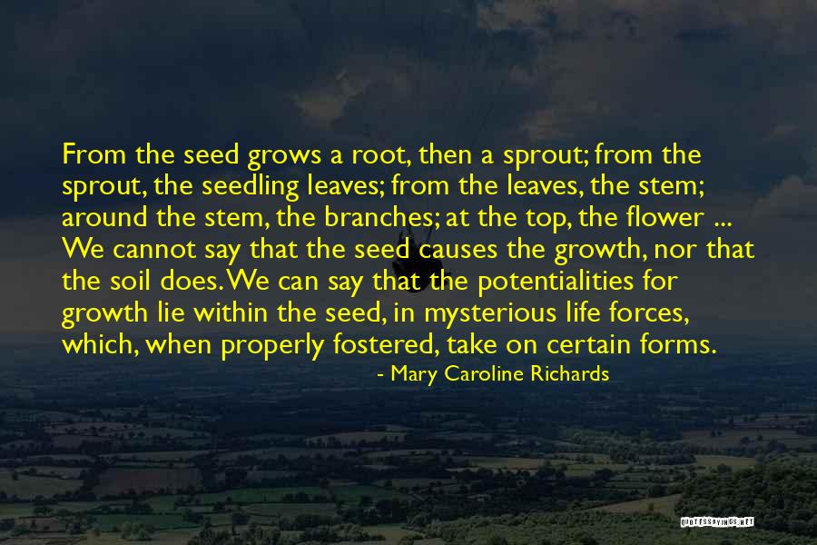 Flower Seed Quotes By Mary Caroline Richards Flower Seed Quotes By Mary Caroline Richards