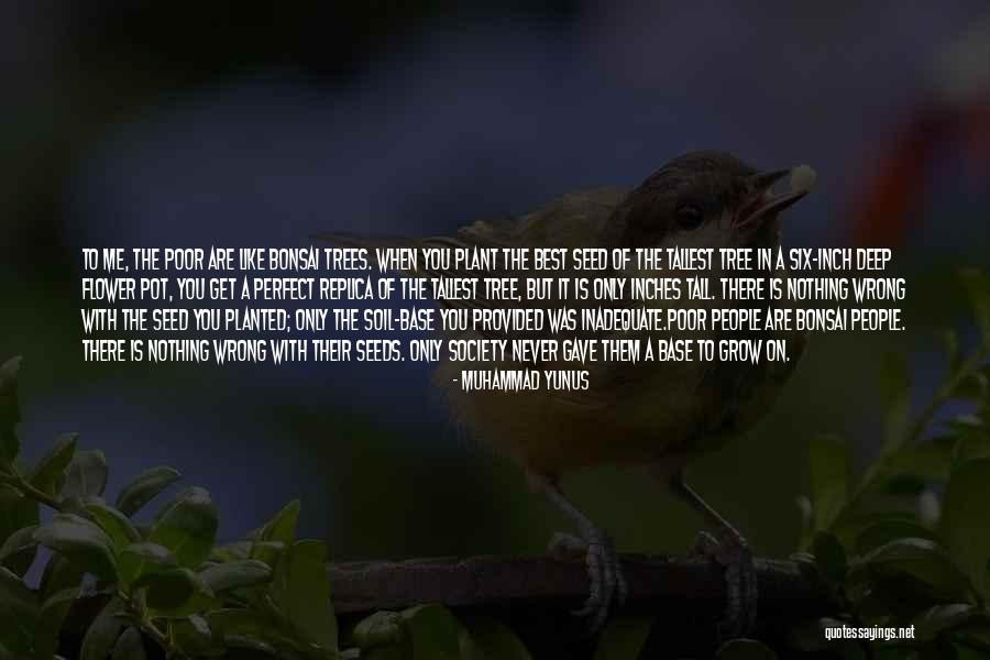 Flower Seed Quotes By Muhammad Yunus Flower Seed Quotes By Muhammad Yunus