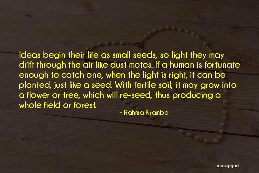 Flower Seed Quotes By Rahma Krambo Flower Seed Quotes By Rahma Krambo