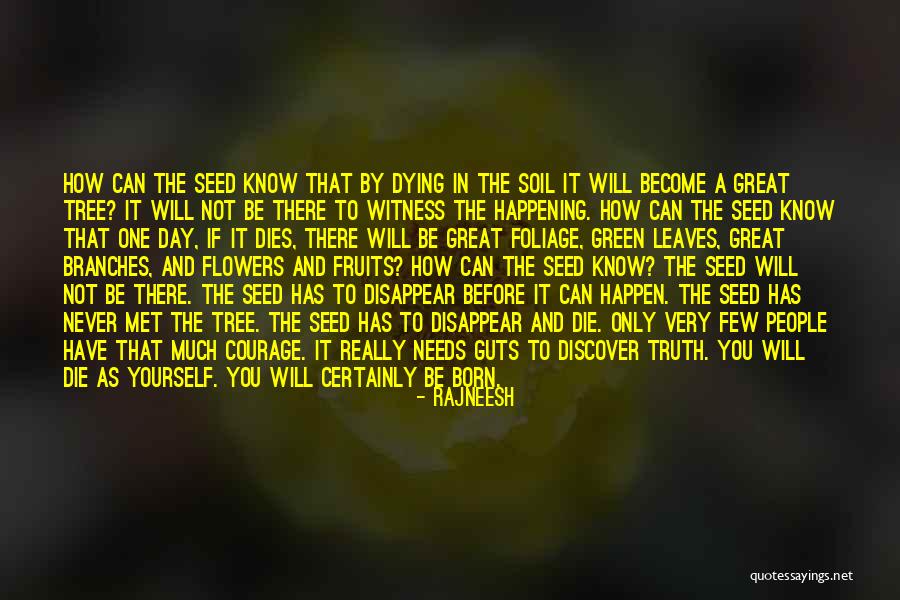 Flower Seed Quotes By Rajneesh Flower Seed Quotes By Rajneesh