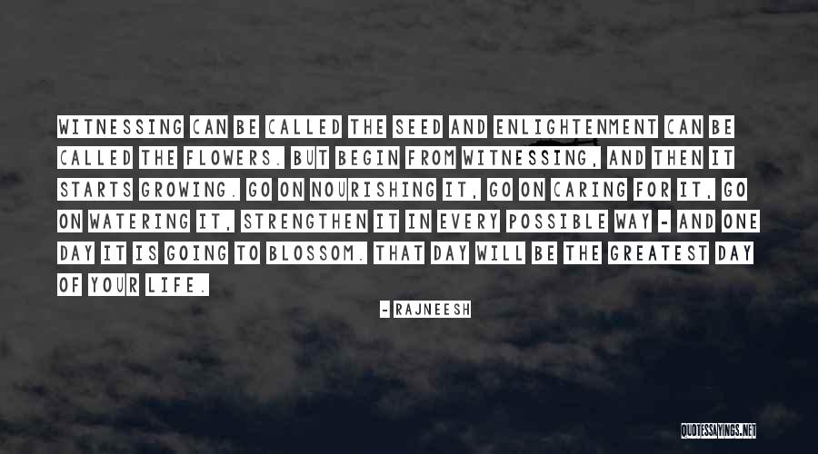 Flower Seed Quotes By Rajneesh Flower Seed Quotes By Rajneesh