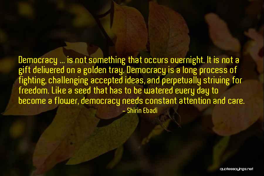Flower Seed Quotes By Shirin Ebadi Flower Seed Quotes By Shirin Ebadi