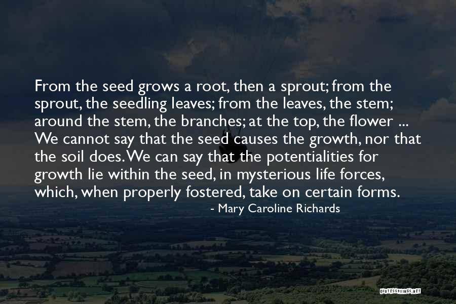 Flower Sprout Quotes By Mary Caroline Richards Flower Sprout Quotes By Mary Caroline Richards