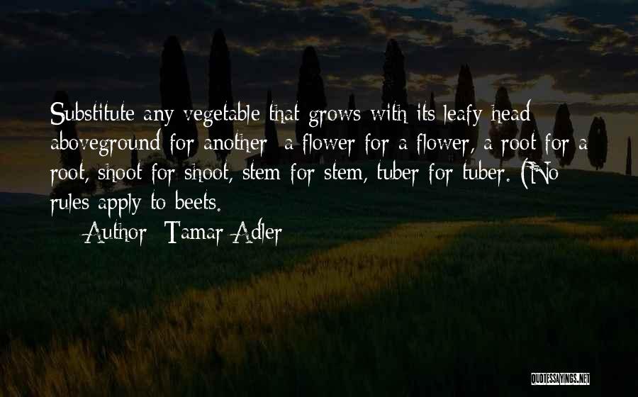 Flower Stem Quotes By Tamar Adler