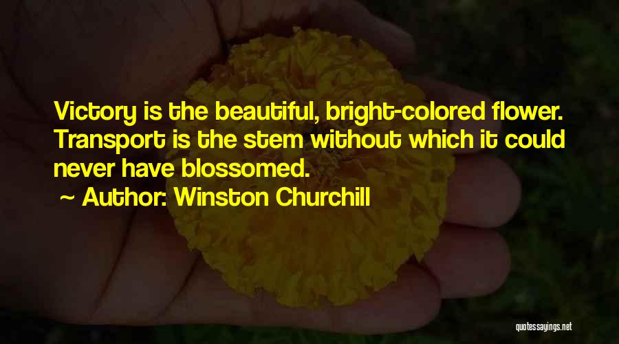 Flower Stem Quotes By Winston Churchill