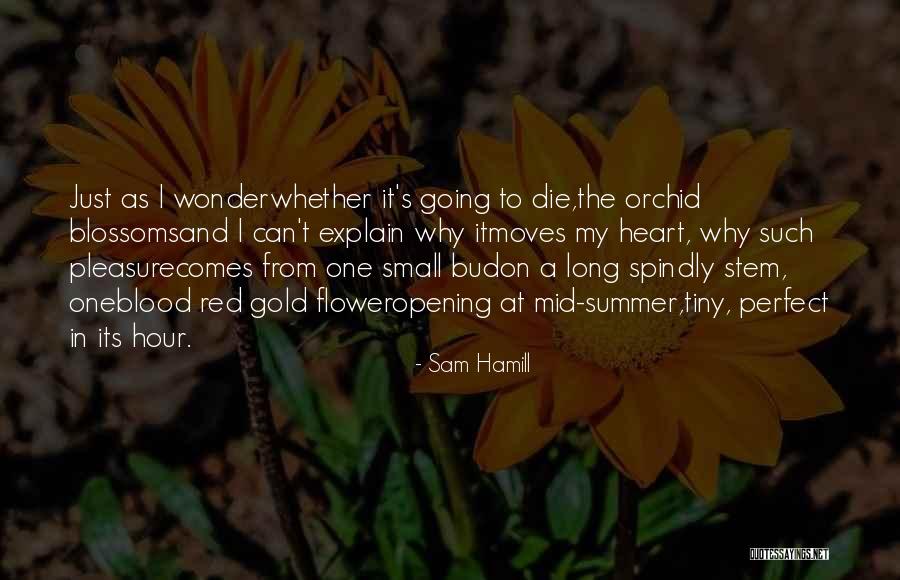 Flower Summer Quotes By Sam Hamill Flower Summer Quotes By Sam Hamill