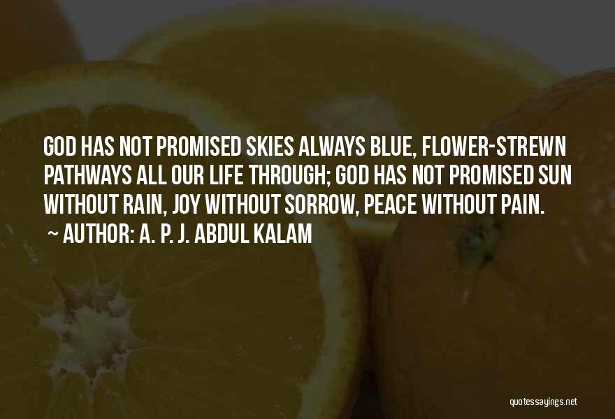 Flower Sun And Rain Quotes By A. P. J. Abdul Kalam