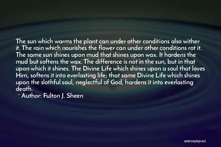 Flower Sun And Rain Quotes By Fulton J. Sheen