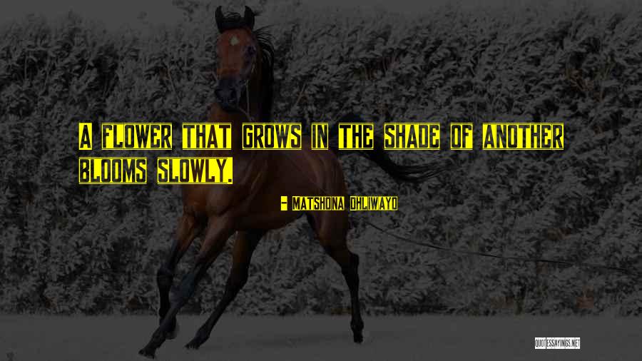 Flower That Blooms Quotes By Matshona Dhliwayo Flower That Blooms Quotes By Matshona Dhliwayo