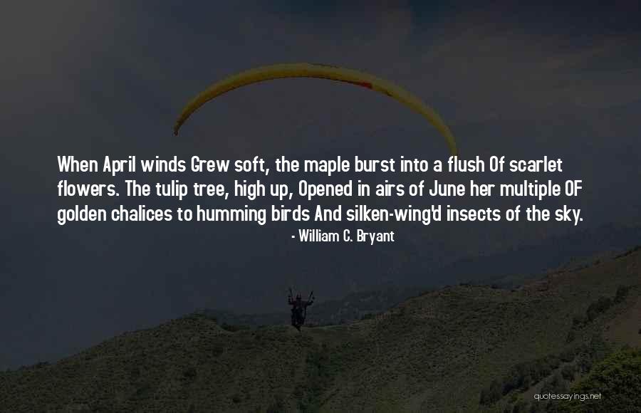Flower Tulip Quotes By William C. Bryant Flower Tulip Quotes By William C. Bryant