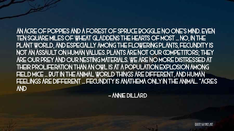 Flowering Plants Quotes By Annie Dillard