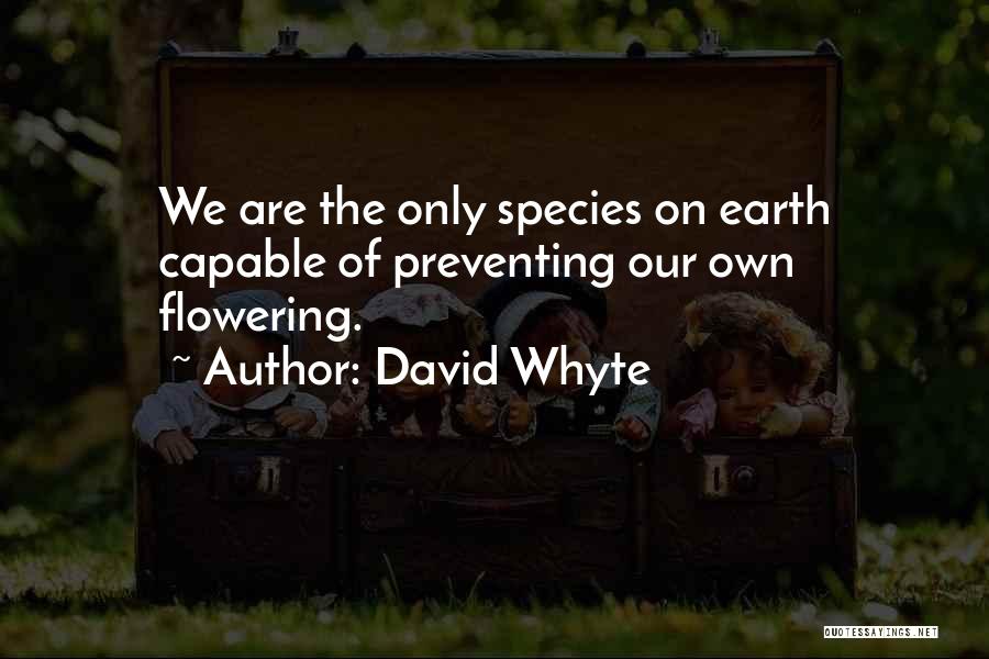 Flowering Quotes By David Whyte