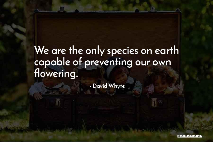 Flowering Quotes By David Whyte