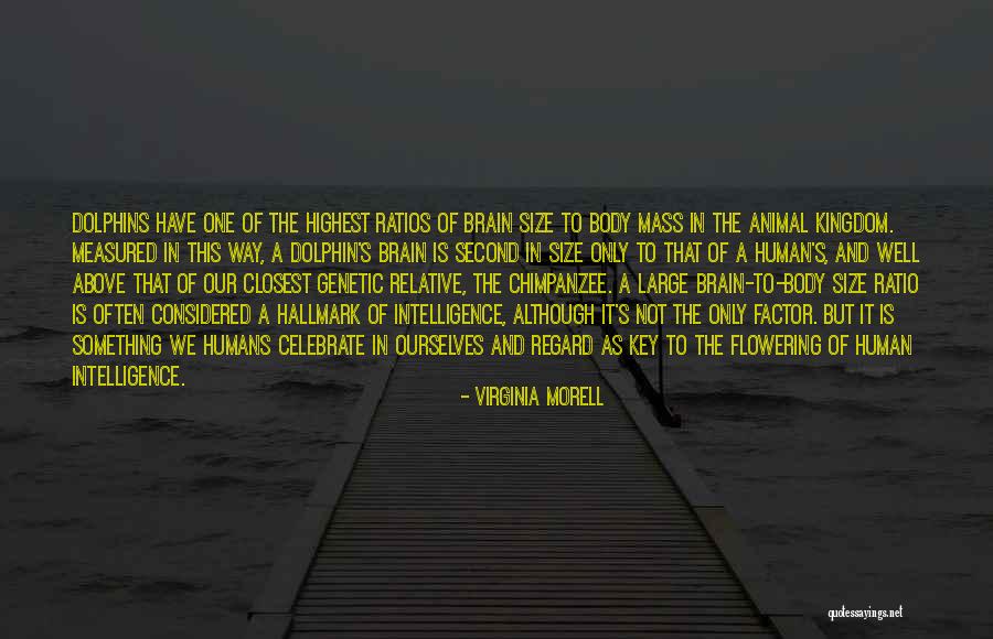 Flowering Quotes By Virginia Morell Flowering Quotes By Virginia Morell
