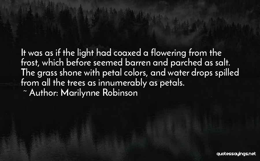 Flowering Trees Quotes By Marilynne Robinson