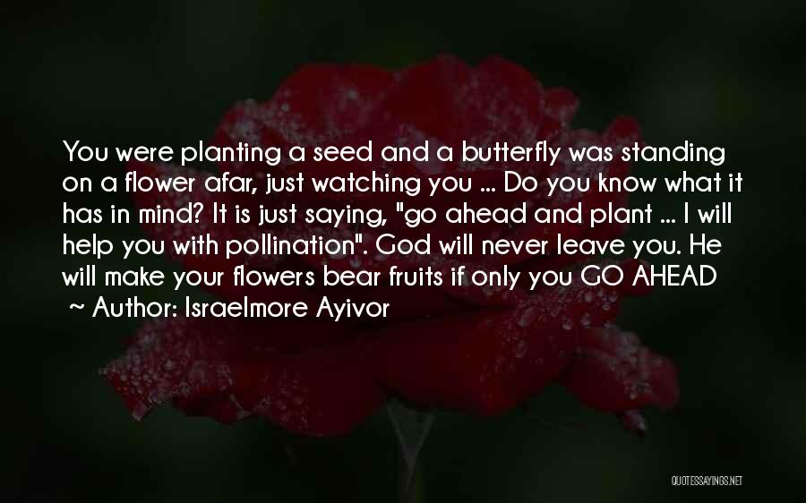 Flowers And Butterfly Quotes By Israelmore Ayivor