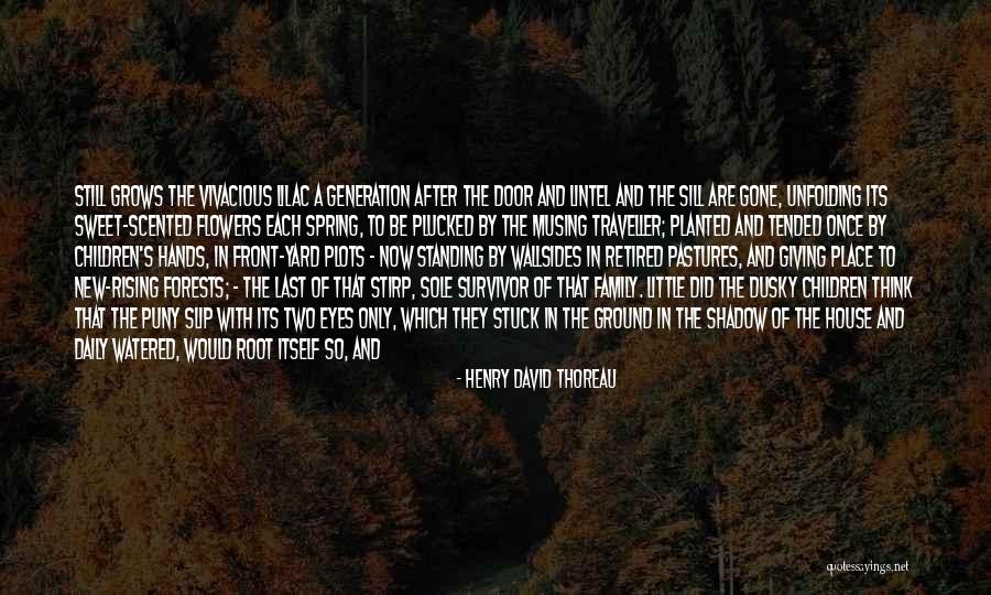 Flowers And Family Quotes By Henry David Thoreau Flowers And Family Quotes By Henry David Thoreau