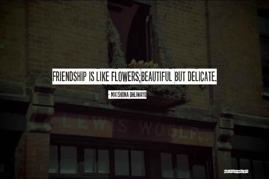 Flowers And Friendship Quotes By Matshona Dhliwayo Flowers And Friendship Quotes By Matshona Dhliwayo