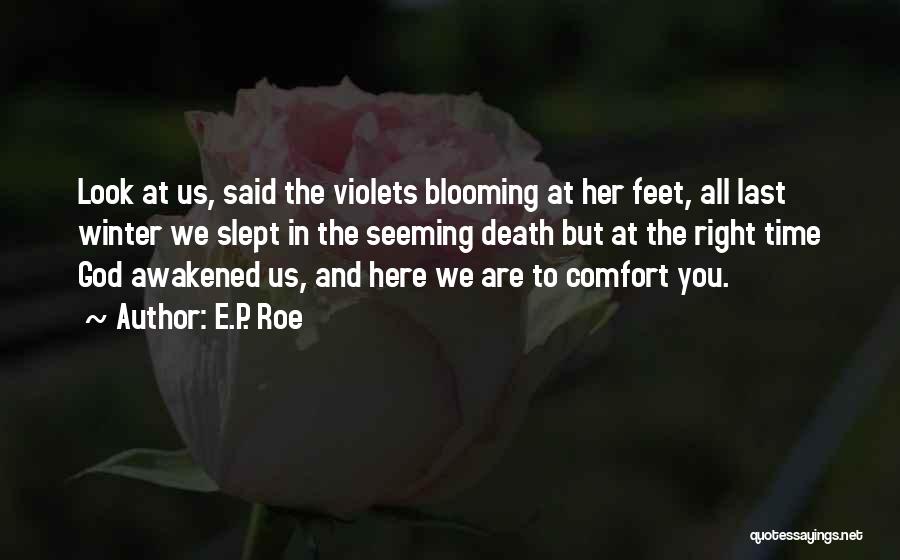 Flowers And God Quotes By E.P. Roe