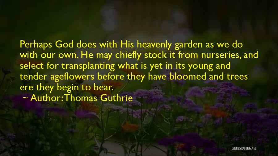 Flowers And God Quotes By Thomas Guthrie