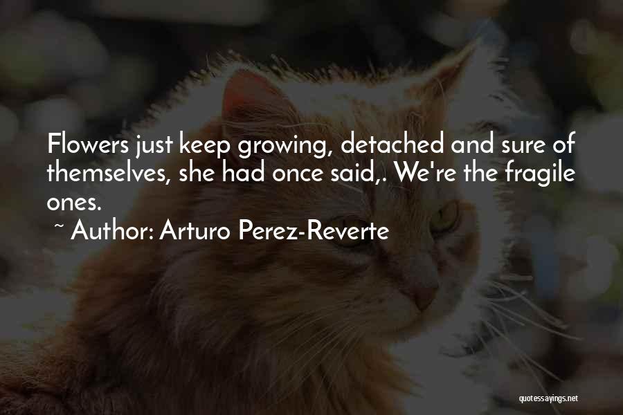Flowers And Growing Quotes By Arturo Perez-Reverte