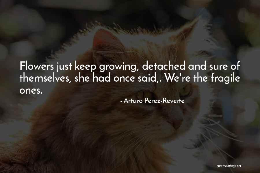 Flowers And Growing Quotes By Arturo Perez-Reverte