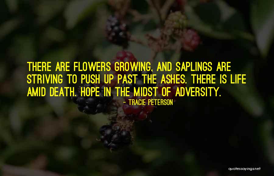 Flowers And Growing Quotes By Tracie Peterson