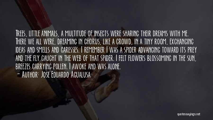 Flowers And Insects Quotes By Jose Eduardo Agualusa