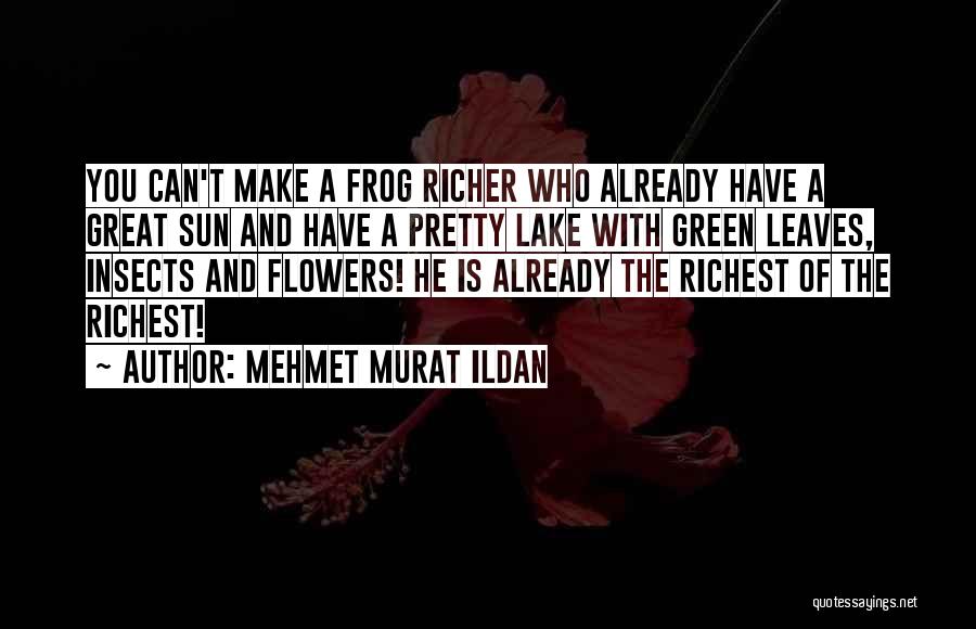 Flowers And Insects Quotes By Mehmet Murat Ildan