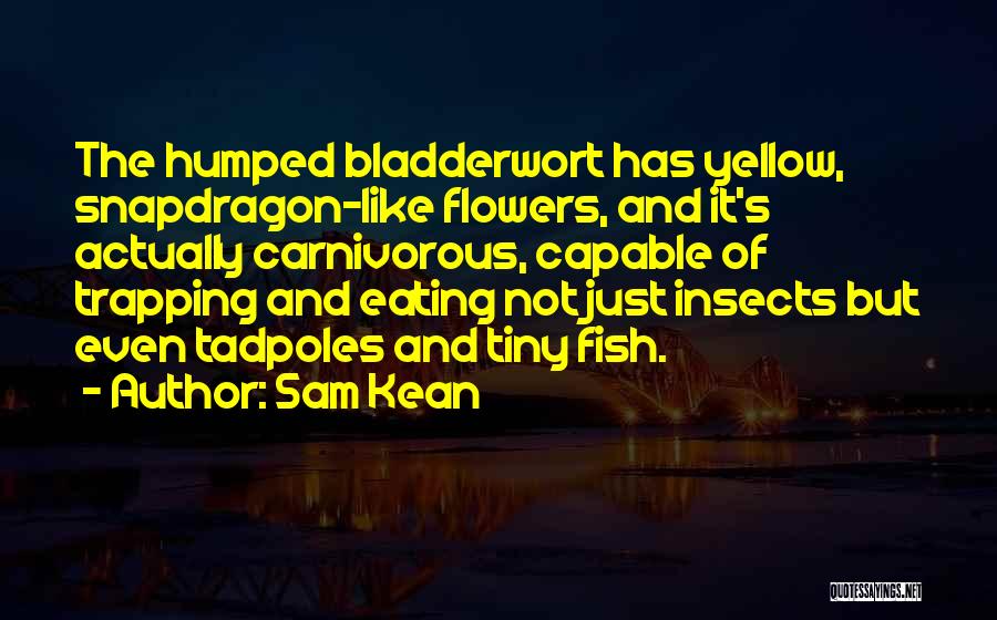 Flowers And Insects Quotes By Sam Kean