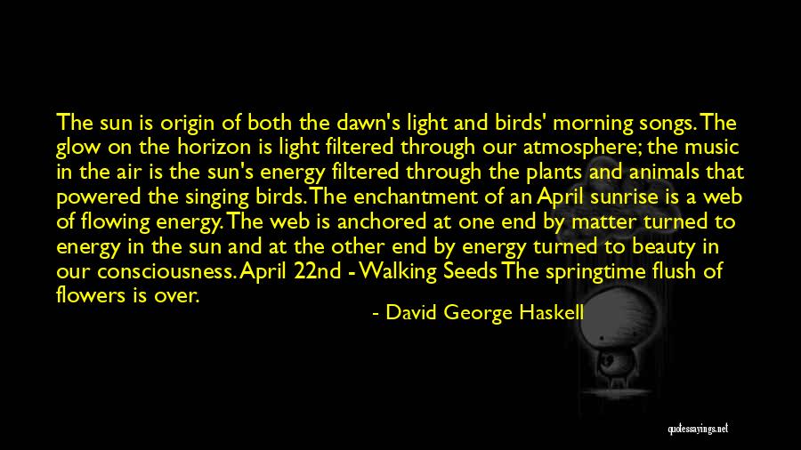 Flowers And Music Quotes By David George Haskell