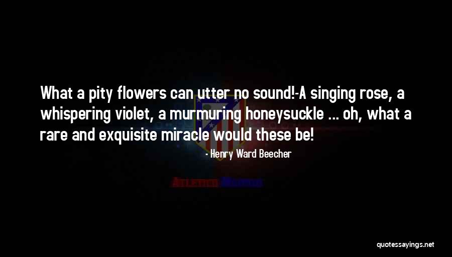 Flowers And Music Quotes By Henry Ward Beecher