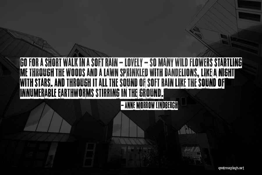Flowers And Rain Quotes By Anne Morrow Lindbergh Flowers And Rain Quotes By Anne Morrow Lindbergh