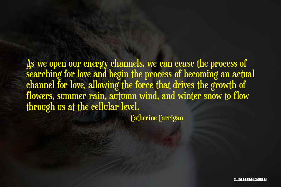 Flowers And Rain Quotes By Catherine Carrigan Flowers And Rain Quotes By Catherine Carrigan