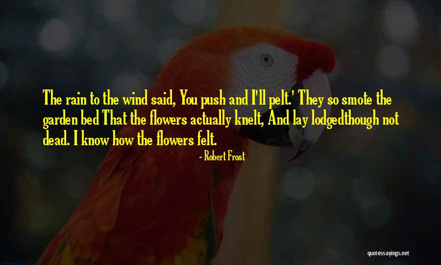 Flowers And Rain Quotes By Robert Frost Flowers And Rain Quotes By Robert Frost