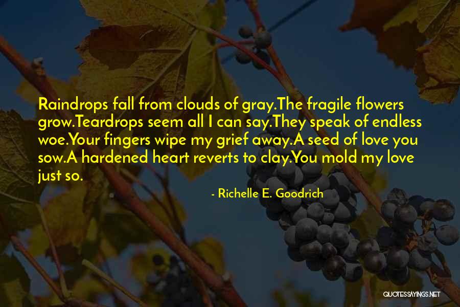 Flowers And Raindrops Quotes By Richelle E. Goodrich